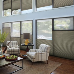 Hunter Douglas Duette Blinds Waterloo