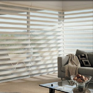 Hunter Douglas Pirouette Custom Blinds in Waterloo